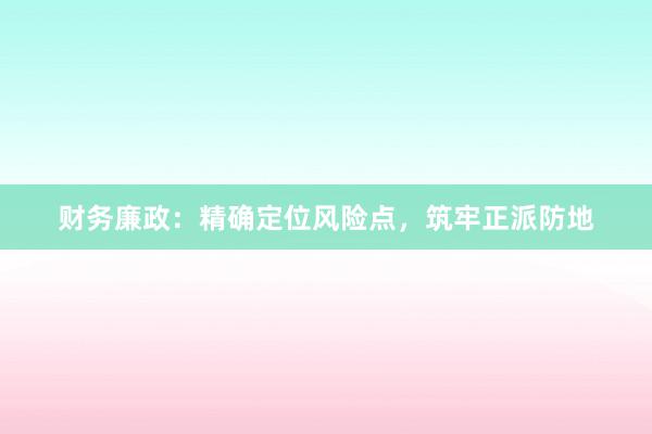 财务廉政：精确定位风险点，筑牢正派防地