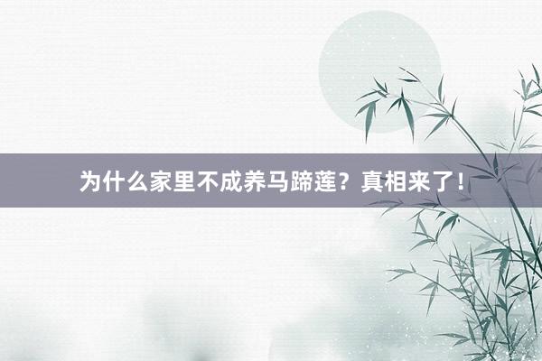 为什么家里不成养马蹄莲？真相来了！